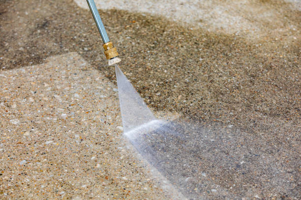 Best Animal Enclosure Cleaning  in Hillsville, VA